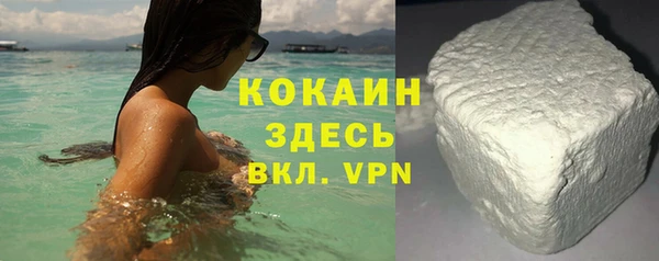 стаф Бородино