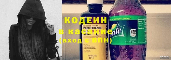 стаф Бородино