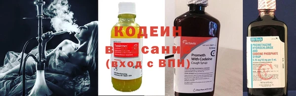 стаф Бородино
