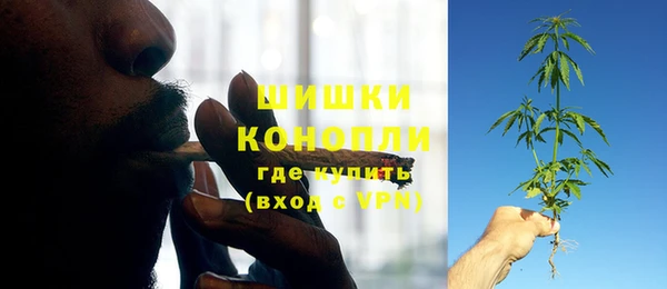 крисы Бугульма
