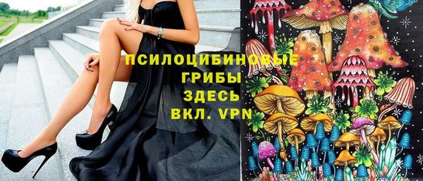 крисы Бугульма