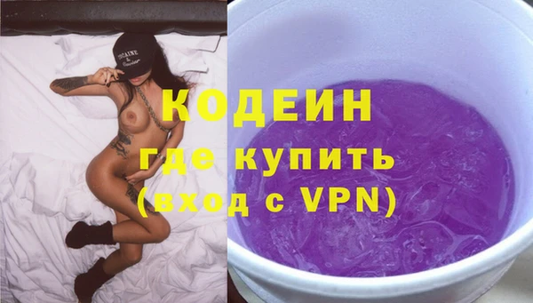 стаф Бородино