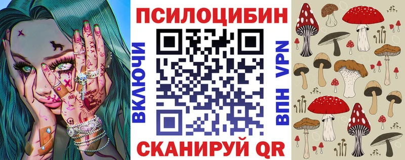 где можно купить Гудермес Галлюциногенные грибы прущие грибы